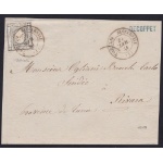 1861 Sardegna, Stampati n° 20  su grande frammento Firma Bolaffi