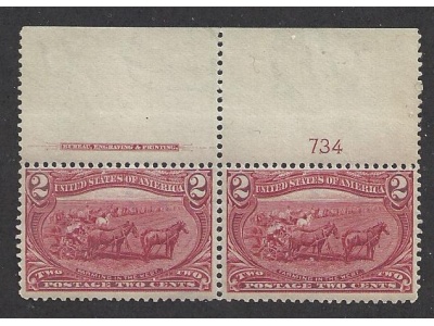 1898 Stati Uniti, n° 150  2 c. bruno-carminio   MNH/**  COPPIA