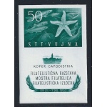 1952 TRIESTE B, BF n° 3 , Mostra Filatelica di Capodistria,  MNH**