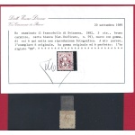 1882 SVIZZERA, n° 59 , 5 cent bruno carminio,  MLH* Certificato E.Diena