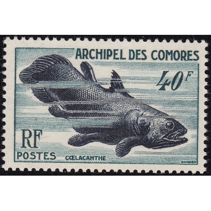 1954 Comores - Pesci - Yvert  n° 13  MNH**