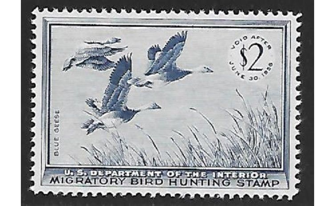 1955 Stati Uniti, 2$  Blue Geese MNH/**