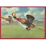1941 Cartolina - Arma aeronautica n° 13, Due RO.37 in picchiata NUOVA