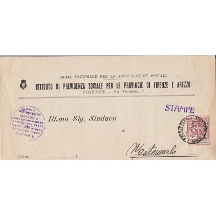1924 Italia - Regno , Enti Semistatali n° 25 10 cent. rosa su DOCUMENTO